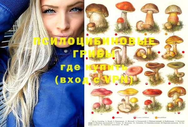 кокаин премиум Белокуриха
