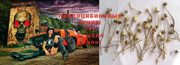 кокаин премиум Белокуриха