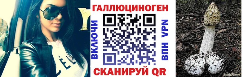 Купить  Гусь-Хрустальный  Псилоцибиновые грибы мицелий 